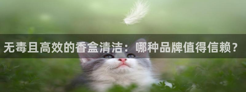 尊龙z6官网ag