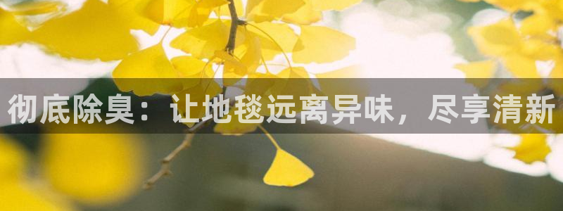 尊龙d88平台登录：