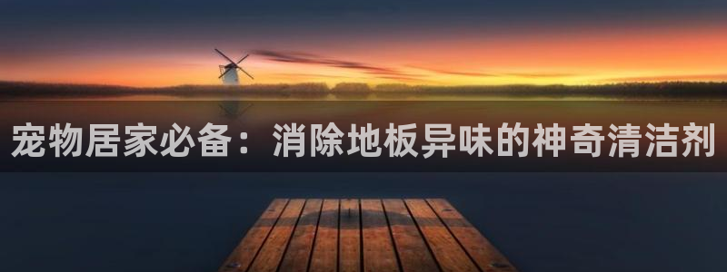 凯时ag旗舰厅登录：宠物居家必备：消除地板异味的神奇清洁