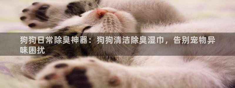 z6尊龙凯时官方：狗狗日常除臭神器：狗狗清洁除臭湿巾，告
