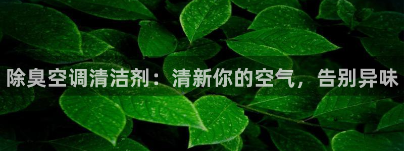尊龙凯时集团