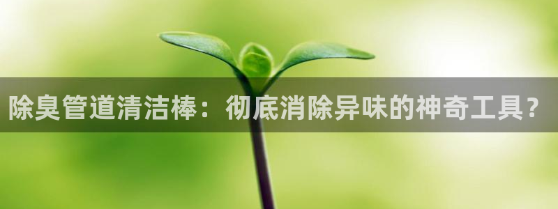 凯时登录平台去AG发财网：除臭管道清洁棒：彻底消除异味的