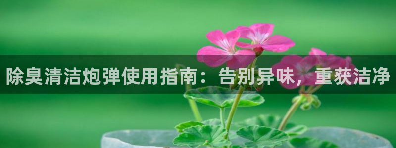 尊龙人生就是博登录准认来就送38：除臭清洁炮弹使用指南：