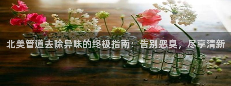 凯时官网