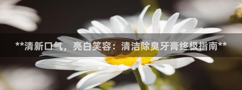 尊龙t500和t30