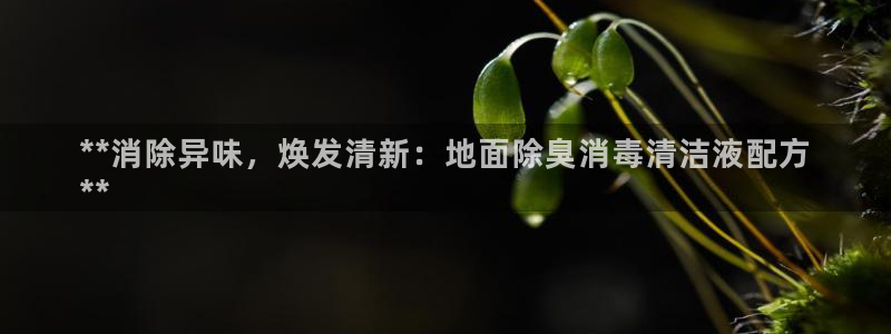 尊龙会：**消除异味，焕发清新：地面除臭消毒清洁液配方
