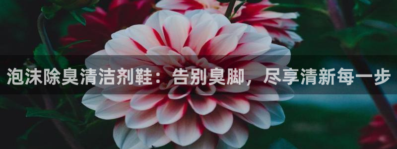 尊龙凯时人生就是博官网登录：泡沫除臭清洁剂鞋：告别臭脚，