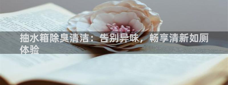 凯时app官方首页：抽水箱除臭清洁：告别异味，畅享清新如