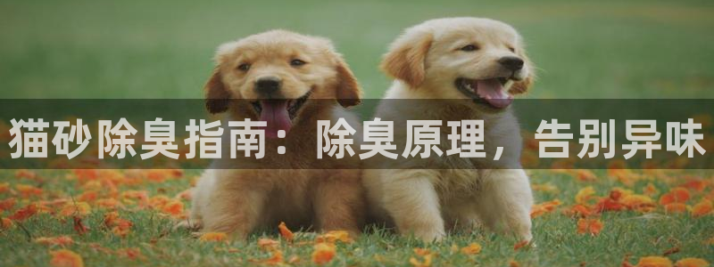 尊龙一人生就是搏