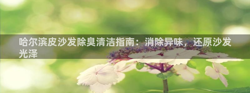 尊龙人生就是博官网登