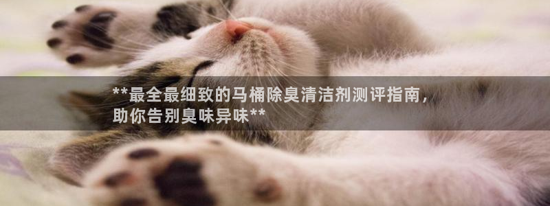 尊龙凯时是赌博嘛