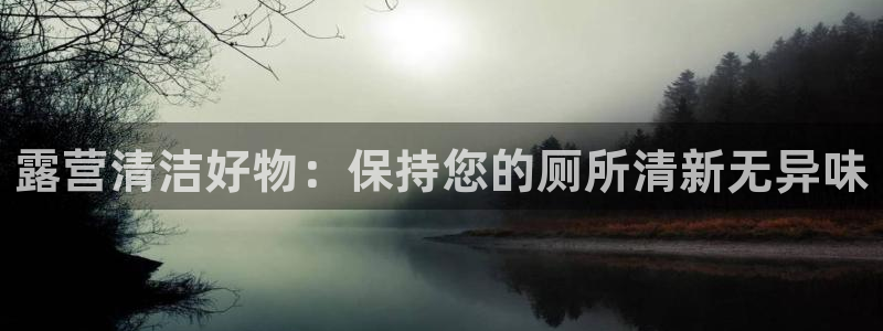 尊龙z6集团：露营清洁好物：保持您的厕所清新无异味