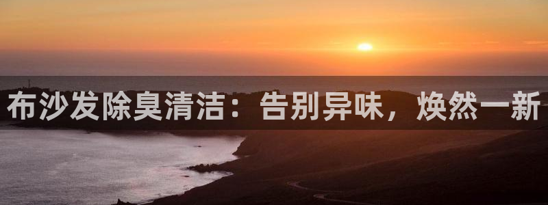 尊龙网站下分慢：布沙发除臭清洁：告别异味，焕然一新
