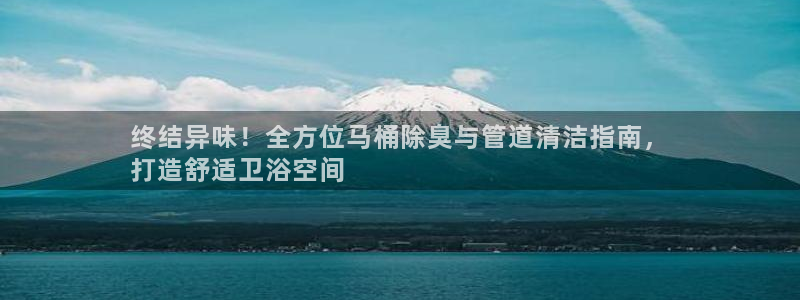尊龙凯时平台怎么样：终结异味！全方位马桶除臭与管道清洁指