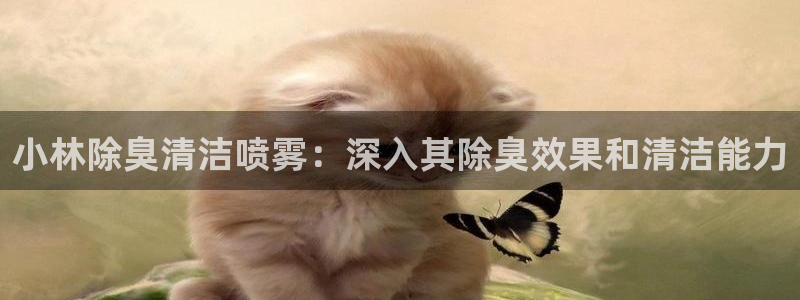 尊龙凯时百家乐手机下载：小林除臭清洁喷雾：深入其除臭效果