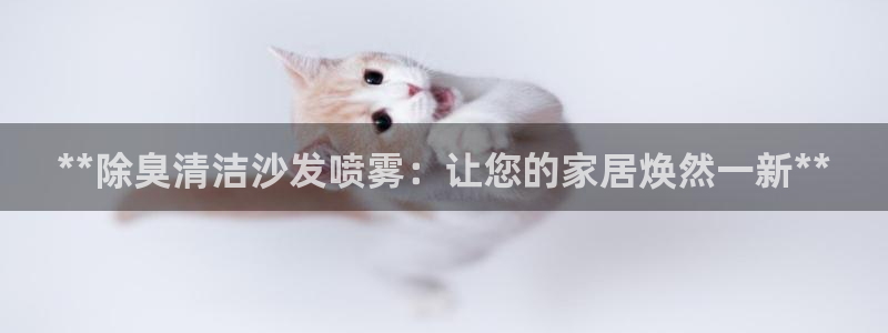 尊龙凯时 人生就是搏首页：**除臭清洁沙发喷雾：让您的家