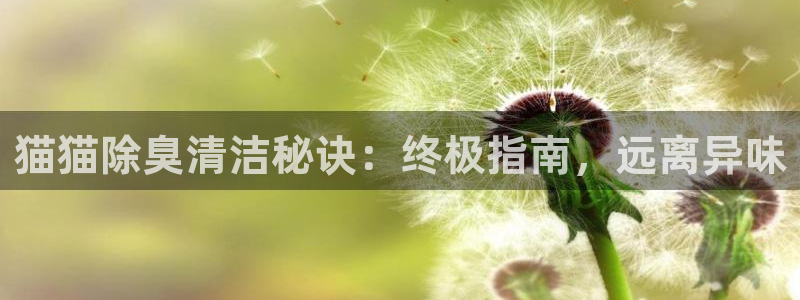 凯时登录首页,凯时K66：猫猫除臭清洁秘诀：终极指南，远