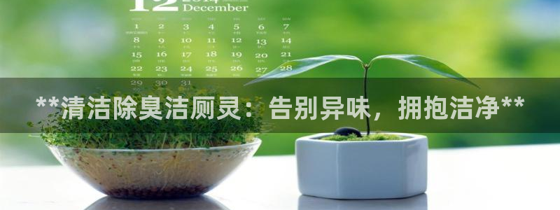 尊龙凯时网娱乐最新版：**清洁除臭洁厕灵：告别异味，拥抱