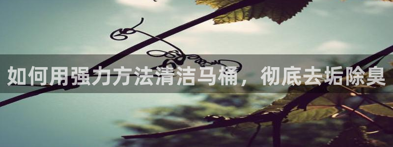 尊龙凯时几百万怎么下款：如何用强力方法清洁马桶，彻底去垢