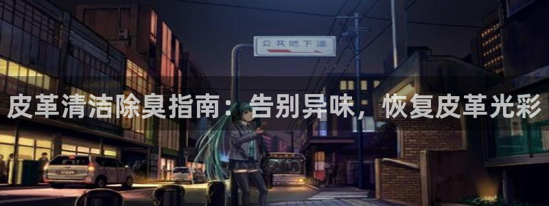 尊龙网址是选访问zd207：皮革清洁除臭指南：告别异味，