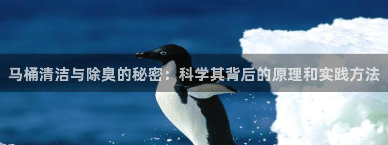 ag尊龙怎么样