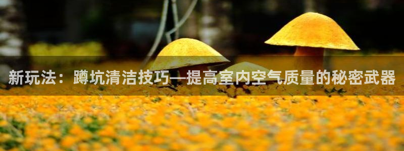 尊龙传奇英文怎么写