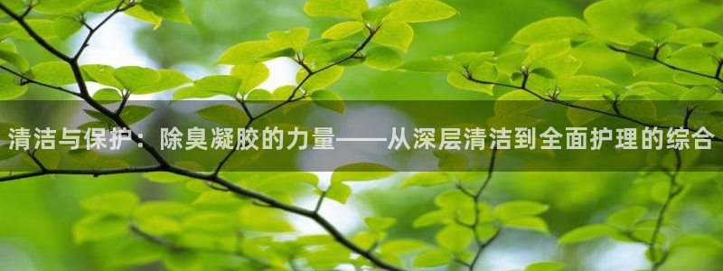 尊龙d88ag旗舰厅