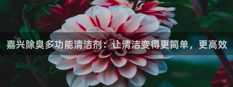 尊龙凯时d5138