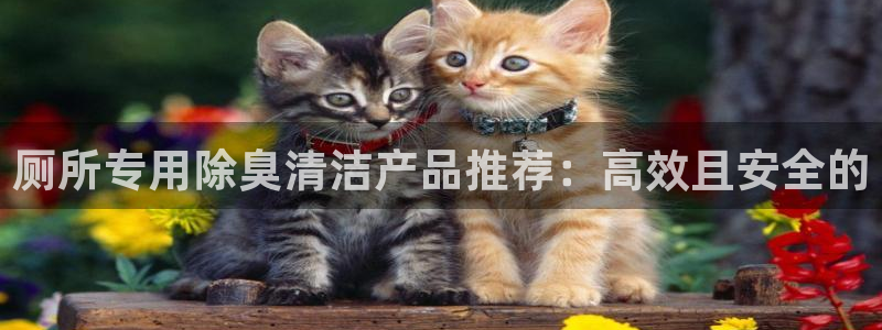 尊龙凯时法充十万返现多少