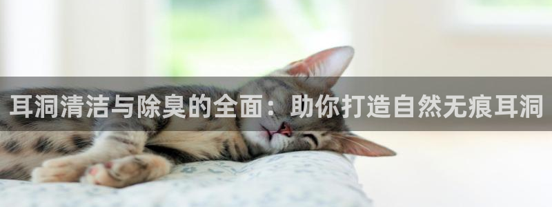 尊龙D88现金旧版