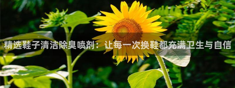 尊龙官方网站首页