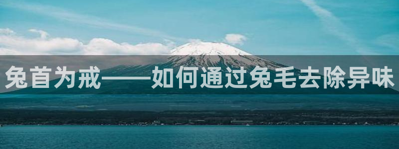 凯时网址多少