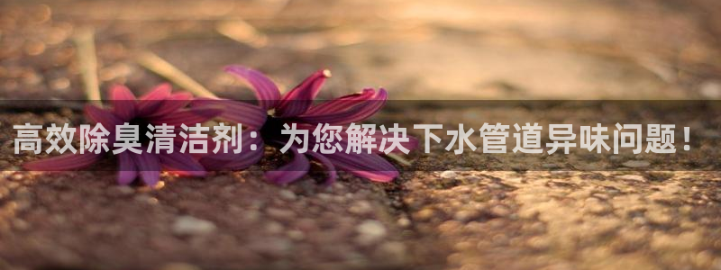 尊龙AG旗舰厅官网