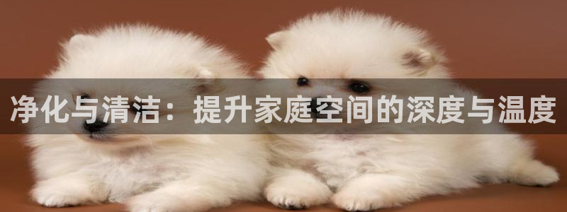 尊龙新版app