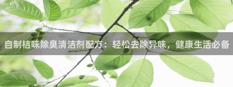 尊龙人生就是博旧版网址