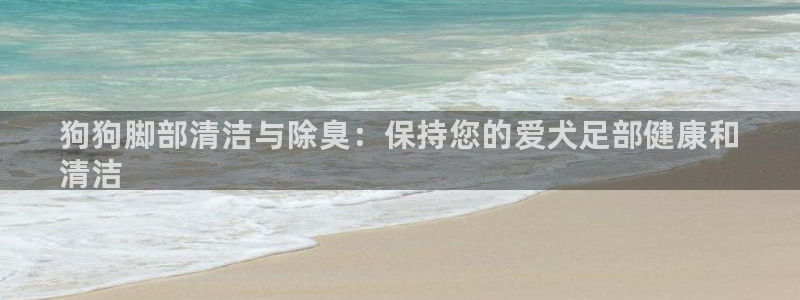旧版尊龙人生就是博下载：狗狗脚部清洁与除臭：保持您的爱犬