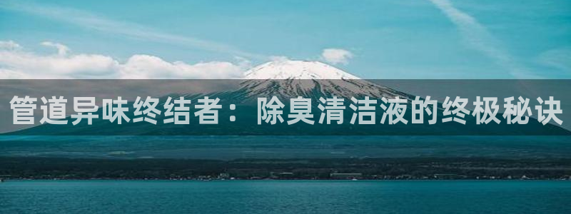 尊龙凯时网站是什么地