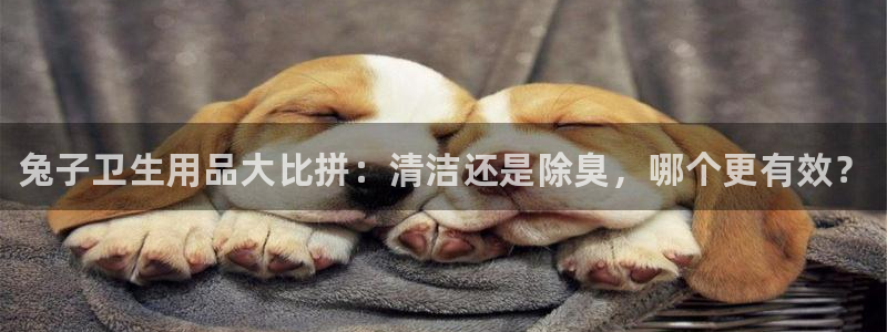 尊龙凯时人生就是搏!