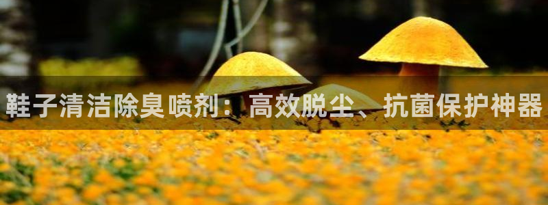 尊龙凯时取款一直支付中