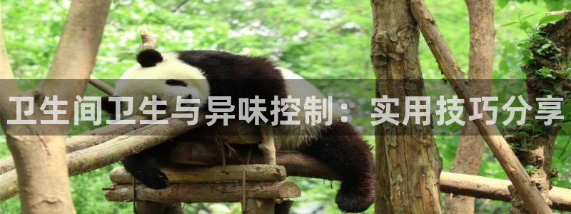 尊龙手机客户端下载APP