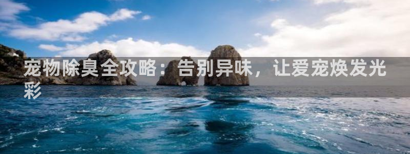 尊龙体育电竞官网：宠