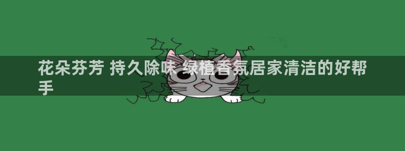 尊龙凯时ag旗舰厅官方网站：花朵芬芳 持久除味 绿植香氛