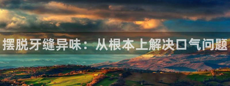 尊龙服饰品牌介绍：摆