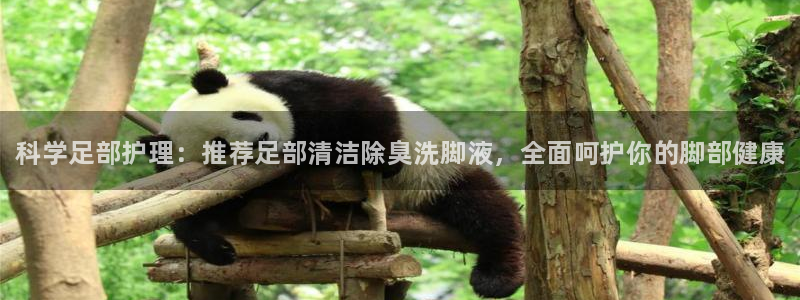 尊龙凯时国际：科学足部护理：推荐足部清洁除臭洗脚液，全面呵护