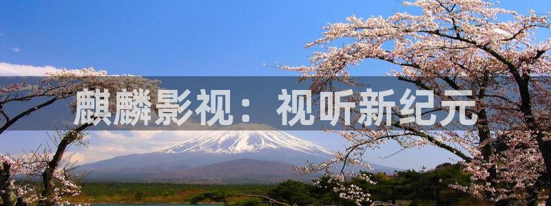 皮特影院官网电视剧免费观看：麒麟影视：视听新纪元