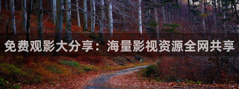 皮特电影：免费观影大分享：海量影视资源全网共享