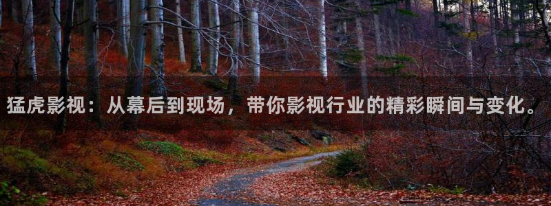 皮特影院在线看：猛虎影视：从幕后到现场，带你影视行业的精彩瞬间与变化。