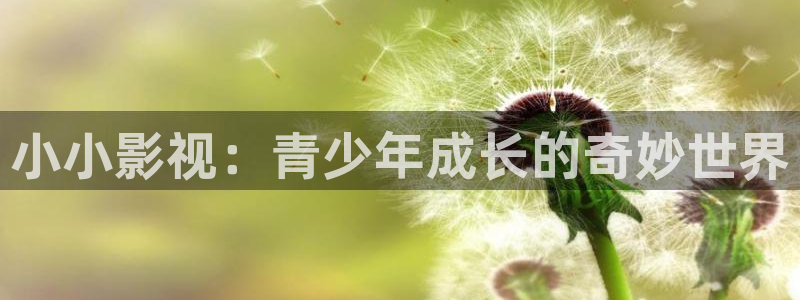 皮特电影皮特影院：小小影视：青少年成长的奇妙世界