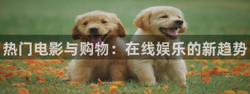 皮特影院首页：热门电影与购物：在线娱乐的新趋势
