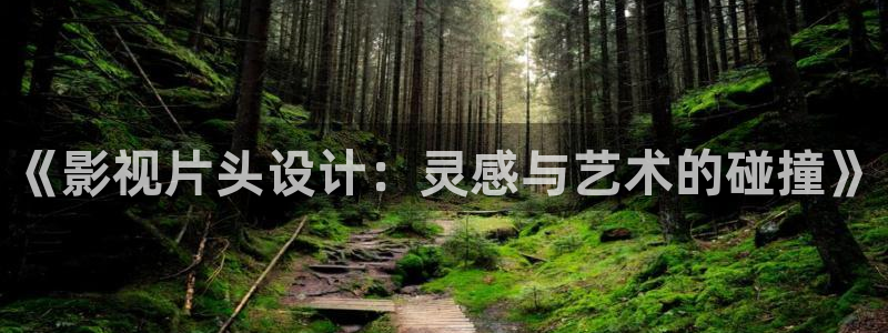 皮特电影院：《影视片头设计：灵感与艺术的碰撞》